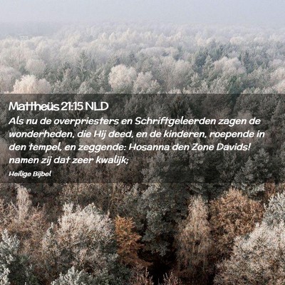Picture 02 - Mattheüs 21:15 NLD - Als nu de overpriesters en Schriftgeleerden zagen - Bible Verse Picture