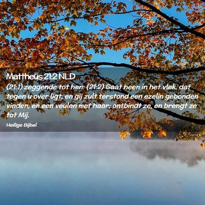 Picture 02 - Mattheüs 21:2 NLD - (21:1) zeggende tot hen: (21:2) Gaat heen in het - Bible Verse Picture