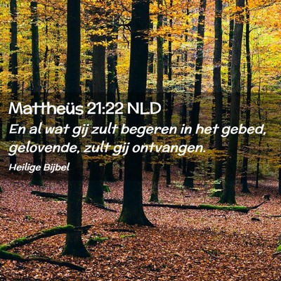 Picture 02 - Mattheüs 21:22 NLD - En al wat gij zult begeren in het gebed, - Bible Verse Picture