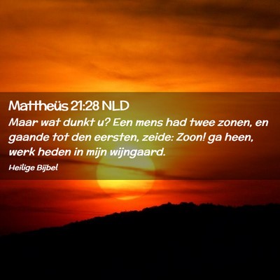 Picture 02 - Mattheüs 21:28 NLD - Maar wat dunkt u? Een mens had twee zonen, en - Bible Verse Picture