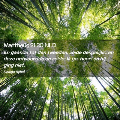 Picture 02 - Mattheüs 21:30 NLD - En gaande tot den tweeden, zeide desgelijks, en - Bible Verse Picture