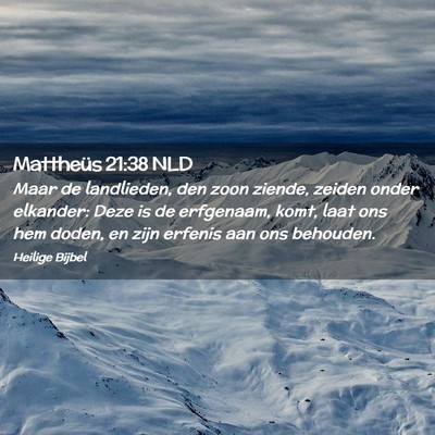 Picture 02 - Mattheüs 21:38 NLD - Maar de landlieden, den zoon ziende, zeiden onder - Bible Verse Picture