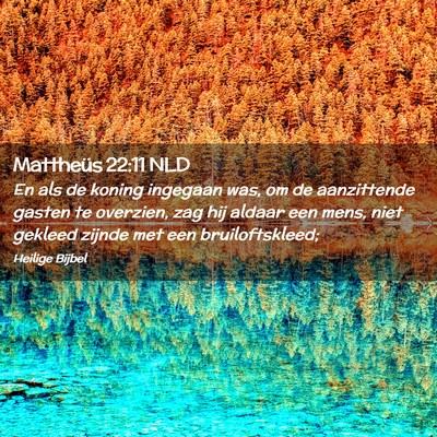 Picture 02 - Mattheüs 22:11 NLD - En als de koning ingegaan was, om de aanzittende - Bible Verse Picture