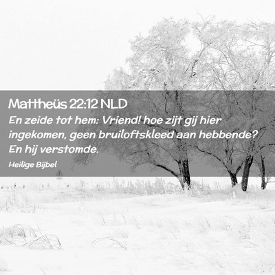 Picture 02 - Mattheüs 22:12 NLD - En zeide tot hem: Vriend! hoe zijt gij hier - Bible Verse Picture