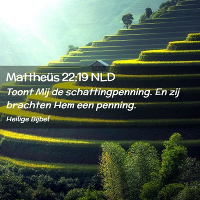 Picture 02 - Mattheüs 22:19 NLD - Toont Mij de schattingpenning. En zij brachten - Bible Verse Picture