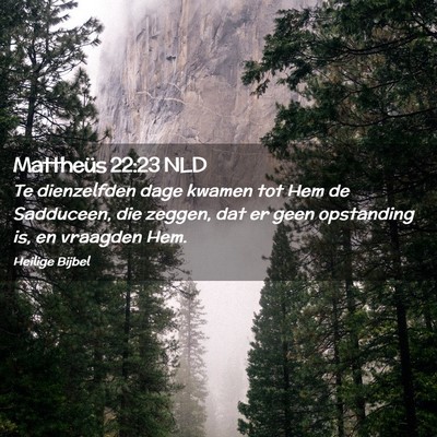Picture 02 - Mattheüs 22:23 NLD - Te dienzelfden dage kwamen tot Hem de Sadduceen, - Bible Verse Picture