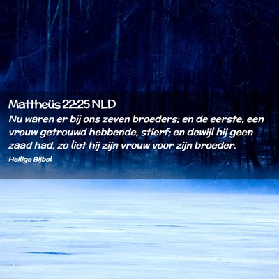 Picture 02 - Mattheüs 22:25 NLD - Nu waren er bij ons zeven broeders; en de eerste, - Bible Verse Picture
