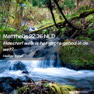 Picture 02 - Mattheüs 22:36 NLD - Meester! welk is het grote gebod in de - Bible Verse Picture