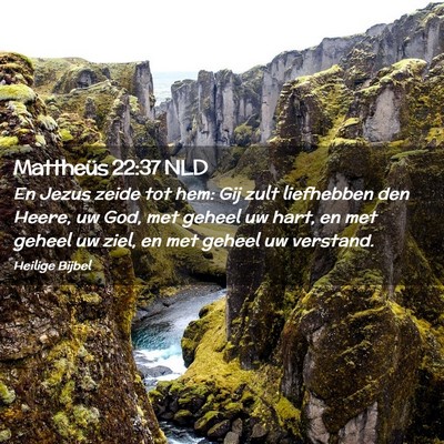 Picture 02 - Mattheüs 22:37 NLD - En Jezus zeide tot hem: Gij zult liefhebben den - Bible Verse Picture