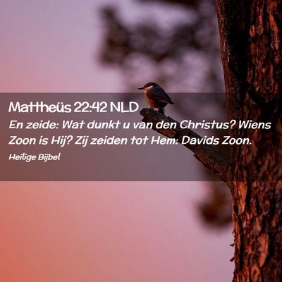 Picture 02 - Mattheüs 22:42 NLD - En zeide: Wat dunkt u van den Christus? Wiens - Bible Verse Picture