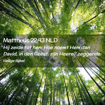 Picture 02 - Mattheüs 22:43 NLD - Hij zeide tot hen: Hoe noemt Hem dan David, in - Bible Verse Picture
