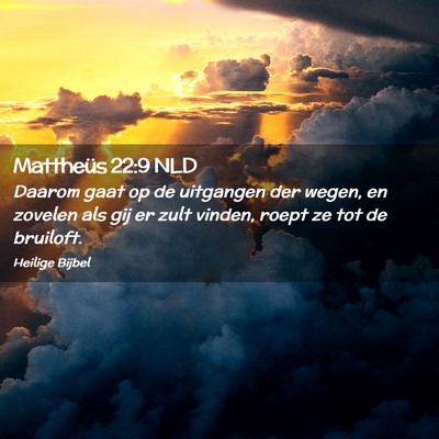 Picture 02 - Mattheüs 22:9 NLD - Daarom gaat op de uitgangen der wegen, en zovelen - Bible Verse Picture