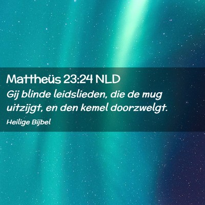 Picture 02 - Mattheüs 23:24 NLD - Gij blinde leidslieden, die de mug uitzijgt, en - Bible Verse Picture