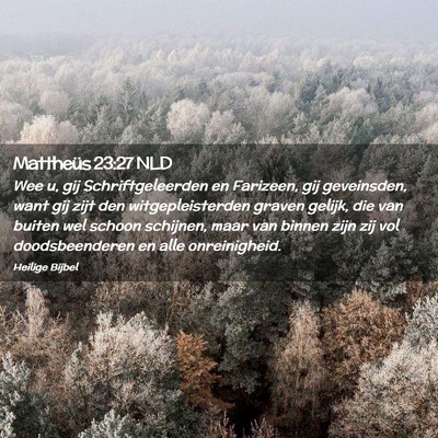 Picture 02 - Mattheüs 23:27 NLD - Wee u, gij Schriftgeleerden en Farizeen, gij - Bible Verse Picture