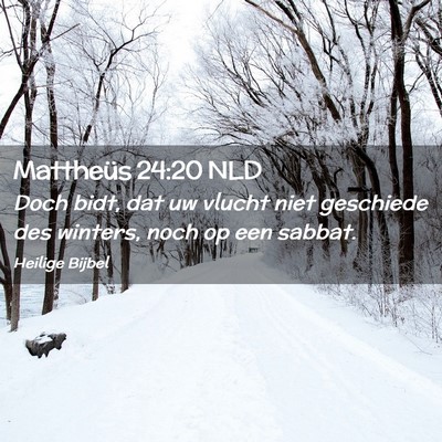 Picture 02 - Mattheüs 24:20 NLD - Doch bidt, dat uw vlucht niet geschiede des - Bible Verse Picture