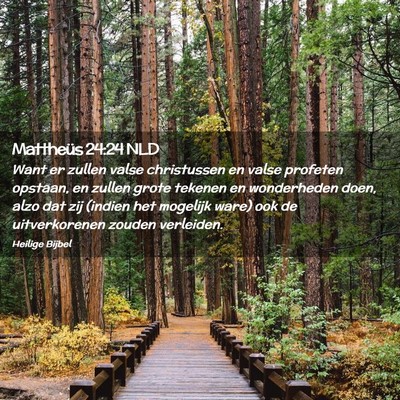 Picture 02 - Mattheüs 24:24 NLD - Want er zullen valse christussen en valse - Bible Verse Picture
