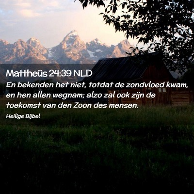 Picture 02 - Mattheüs 24:39 NLD - En bekenden het niet, totdat de zondvloed kwam, - Bible Verse Picture