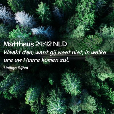 Picture 02 - Mattheüs 24:42 NLD - Waakt dan; want gij weet niet, in welke ure uw - Bible Verse Picture