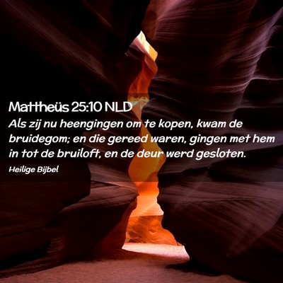 Picture 02 - Mattheüs 25:10 NLD - Als zij nu heengingen om te kopen, kwam de - Bible Verse Picture