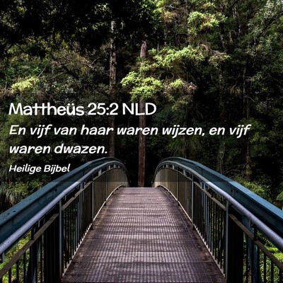 Picture 02 - Mattheüs 25:2 NLD - En vijf van haar waren wijzen, en vijf waren - Bible Verse Picture