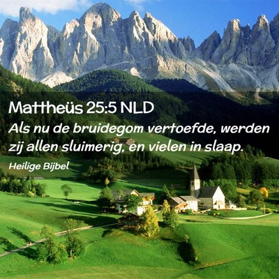 Picture 02 - Mattheüs 25:5 NLD - Als nu de bruidegom vertoefde, werden zij allen - Bible Verse Picture