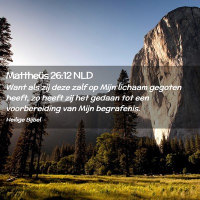 Picture 02 - Mattheüs 26:12 NLD - Want als zij deze zalf op Mijn lichaam gegoten - Bible Verse Picture