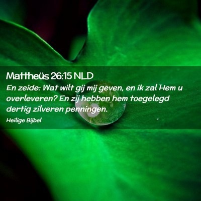 Picture 02 - Mattheüs 26:15 NLD - En zeide: Wat wilt gij mij geven, en ik zal Hem u - Bible Verse Picture