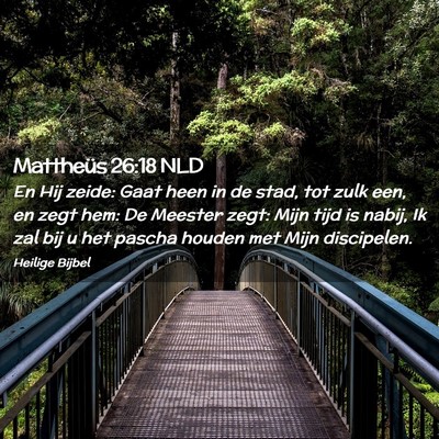 Picture 02 - Mattheüs 26:18 NLD - En Hij zeide: Gaat heen in de stad, tot zulk een, - Bible Verse Picture