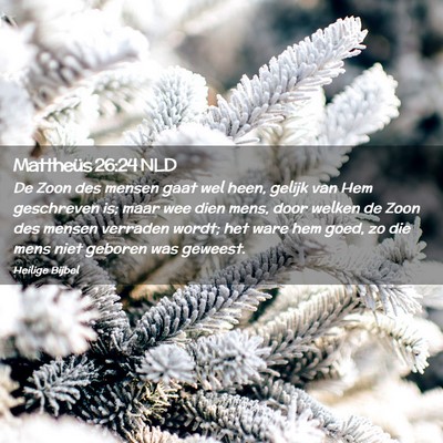 Picture 02 - Mattheüs 26:24 NLD - De Zoon des mensen gaat wel heen, gelijk van Hem - Bible Verse Picture