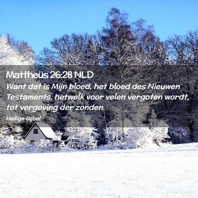 Picture 02 - Mattheüs 26:28 NLD - Want dat is Mijn bloed, het bloed des Nieuwen - Bible Verse Picture