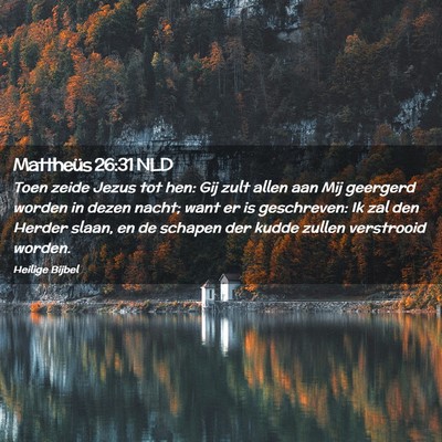 Picture 02 - Mattheüs 26:31 NLD - Toen zeide Jezus tot hen: Gij zult allen aan Mij - Bible Verse Picture