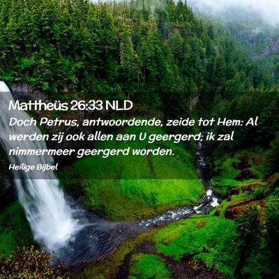 Picture 02 - Mattheüs 26:33 NLD - Doch Petrus, antwoordende, zeide tot Hem: Al - Bible Verse Picture