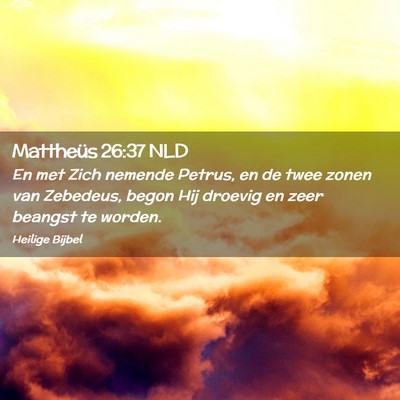 Picture 02 - Mattheüs 26:37 NLD - En met Zich nemende Petrus, en de twee zonen van - Bible Verse Picture