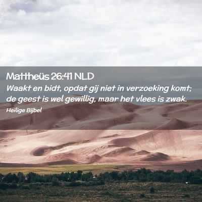 Picture 02 - Mattheüs 26:41 NLD - Waakt en bidt, opdat gij niet in verzoeking komt; - Bible Verse Picture