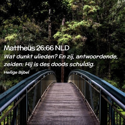 Picture 02 - Mattheüs 26:66 NLD - Wat dunkt ulieden? En zij, antwoordende, zeiden: - Bible Verse Picture
