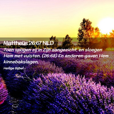 Picture 02 - Mattheüs 26:67 NLD - Toen spogen zij in Zijn aangezicht, en sloegen - Bible Verse Picture