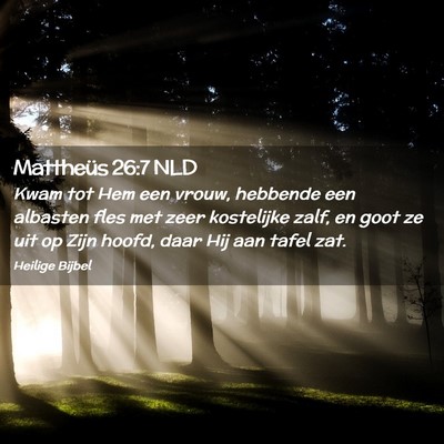 Picture 02 - Mattheüs 26:7 NLD - Kwam tot Hem een vrouw, hebbende een albasten - Bible Verse Picture