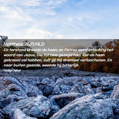 Picture 02 - Mattheüs 26:75 NLD - En terstond kraaide de haan; en Petrus werd - Bible Verse Picture