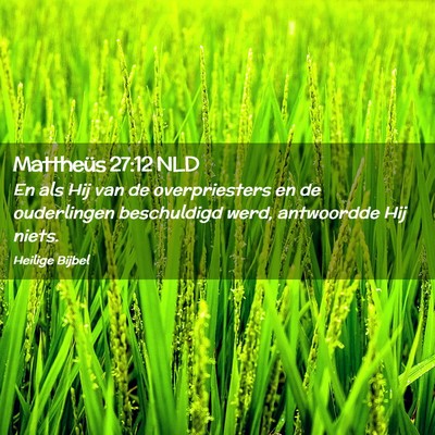 Picture 02 - Mattheüs 27:12 NLD - En als Hij van de overpriesters en de ouderlingen - Bible Verse Picture