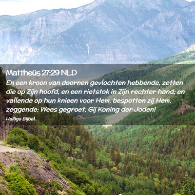 Picture 02 - Mattheüs 27:29 NLD - En een kroon van doornen gevlochten hebbende, - Bible Verse Picture