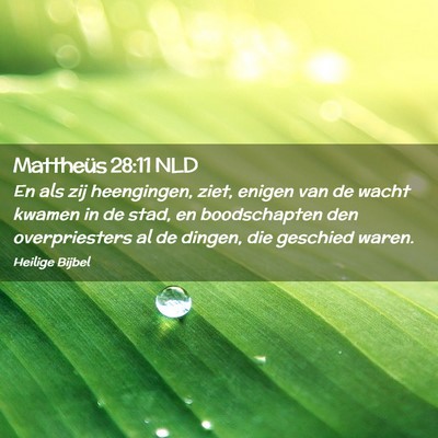 Picture 02 - Mattheüs 28:11 NLD - En als zij heengingen, ziet, enigen van de wacht - Bible Verse Picture