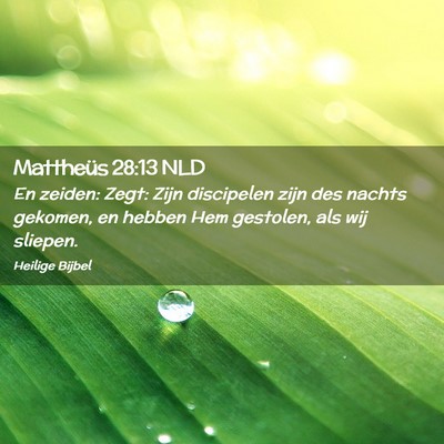 Picture 02 - Mattheüs 28:13 NLD - En zeiden: Zegt: Zijn discipelen zijn des nachts - Bible Verse Picture