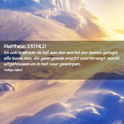 Picture 02 - Mattheüs 3:10 NLD - En ook is alrede de bijl aan den wortel der bomen - Bible Verse Picture