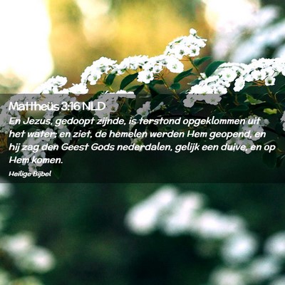 Picture 02 - Mattheüs 3:16 NLD - En Jezus, gedoopt zijnde, is terstond opgeklommen - Bible Verse Picture