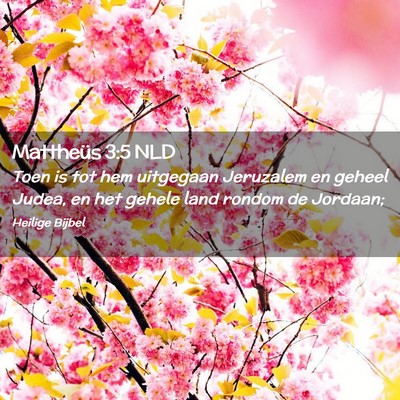 Picture 02 - Mattheüs 3:5 NLD - Toen is tot hem uitgegaan Jeruzalem en geheel - Bible Verse Picture
