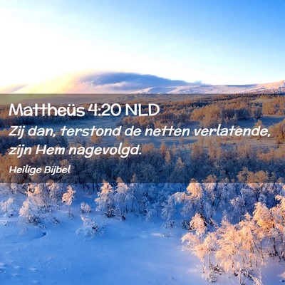 Picture 02 - Mattheüs 4:20 NLD - Zij dan, terstond de netten verlatende, zijn Hem - Bible Verse Picture