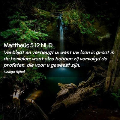 Picture 02 - Mattheüs 5:12 NLD - Verblijdt en verheugt u; want uw loon is groot in - Bible Verse Picture