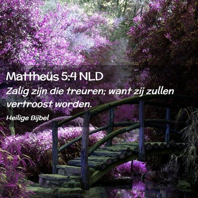 Picture 02 - Mattheüs 5:4 NLD - Zalig zijn die treuren; want zij zullen vertroost - Bible Verse Picture