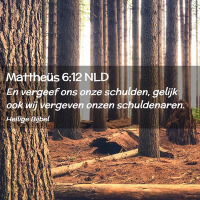 Picture 02 - Mattheüs 6:12 NLD - En vergeef ons onze schulden, gelijk ook wij - Bible Verse Picture