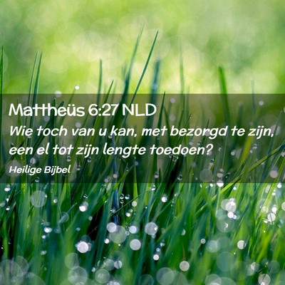 Picture 02 - Mattheüs 6:27 NLD - Wie toch van u kan, met bezorgd te zijn, een el - Bible Verse Picture